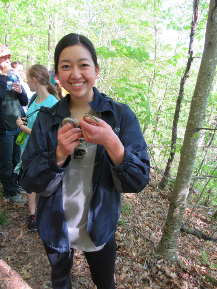 Eastern Garter Snake